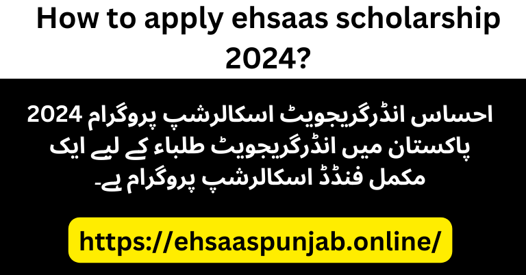 How to apply ehsaas scholarship 2024?