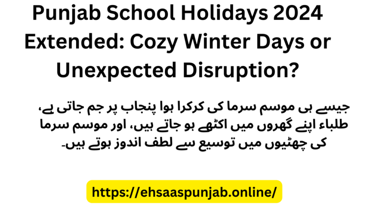Punjab School Holidays 2024