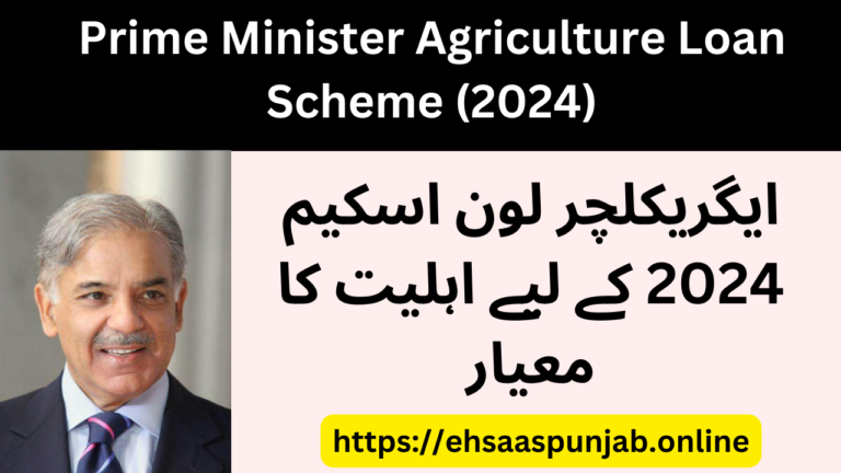 Prime Minister Agriculture Loan Scheme (2024)