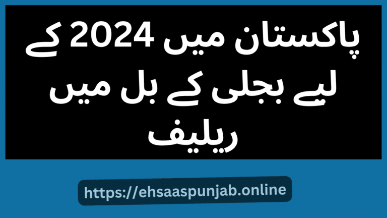 Electricity Bill Relief in Pakistan for 2024 || CM Punjab