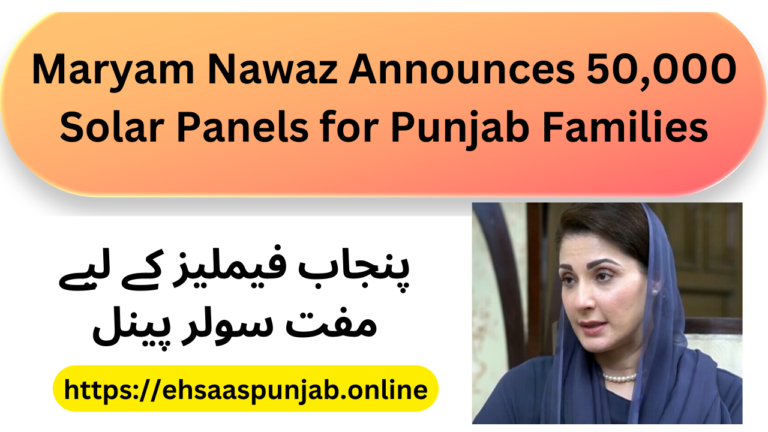 Maryam Nawaz Announces 50,000 Solar Panels for Punjab Families