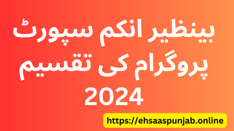 Benazir Income Support Programme Disbursement 2024